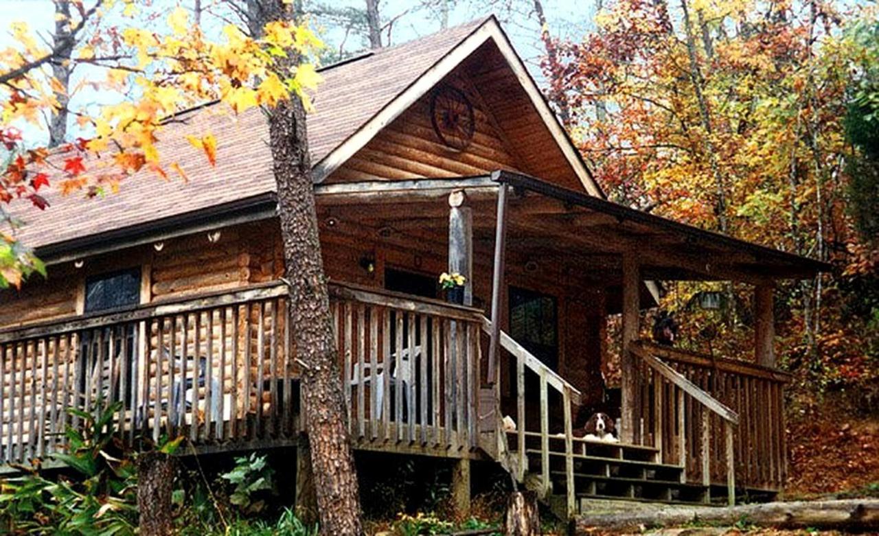 Pet-Friendly Cabin Retreat near Great Smoky Mountain National Park, Tennessee - B&B Old Chilhowee