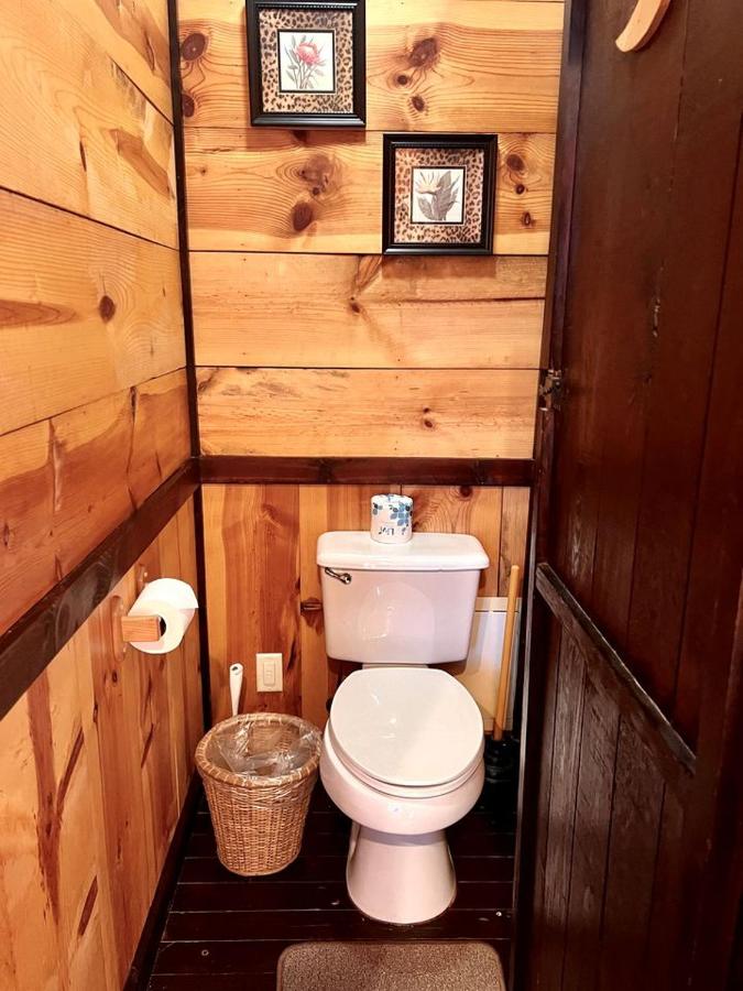 Romantic Ozarks Cabin Rental in Secluded Woodland near Branson, Missouri - Chambres d'hôtes Hollister