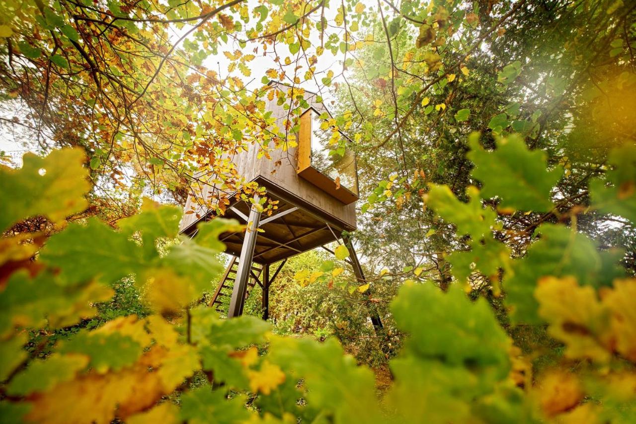 Escape to the Czech Republic in this Wonderful Tree House in Nature - B&B Prague