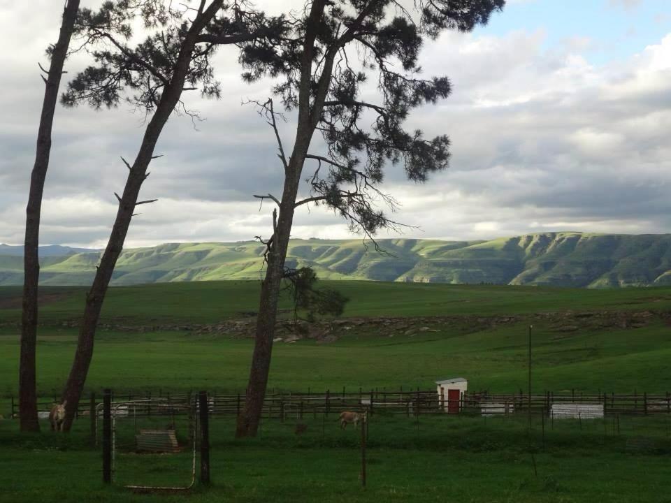 Blarney Stone Cottage - B&B Killarney