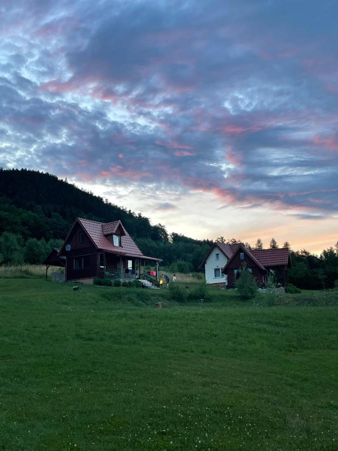 Wzgórze Artystów - B&B Głuszyca