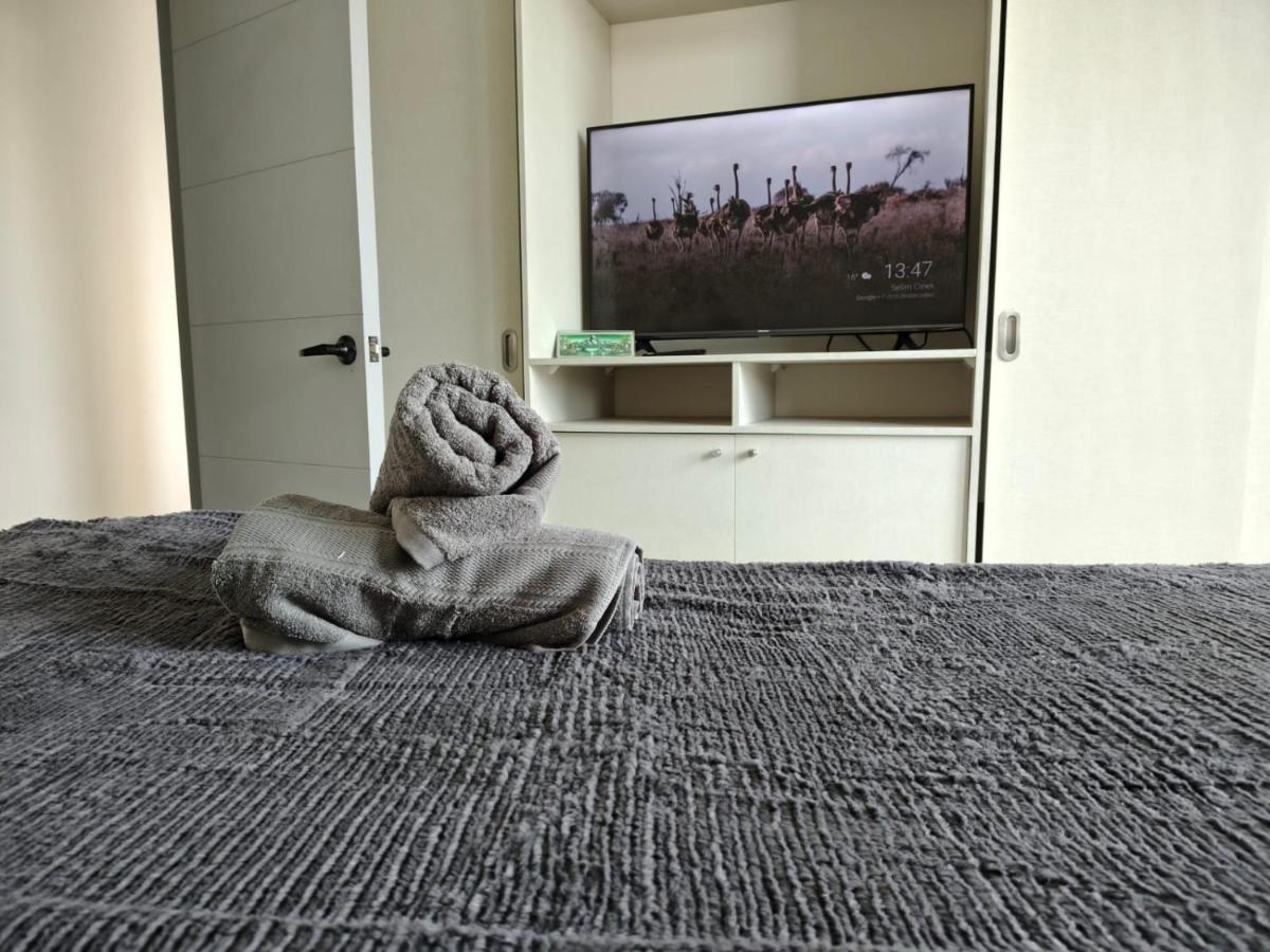 Appartement 1 Chambre