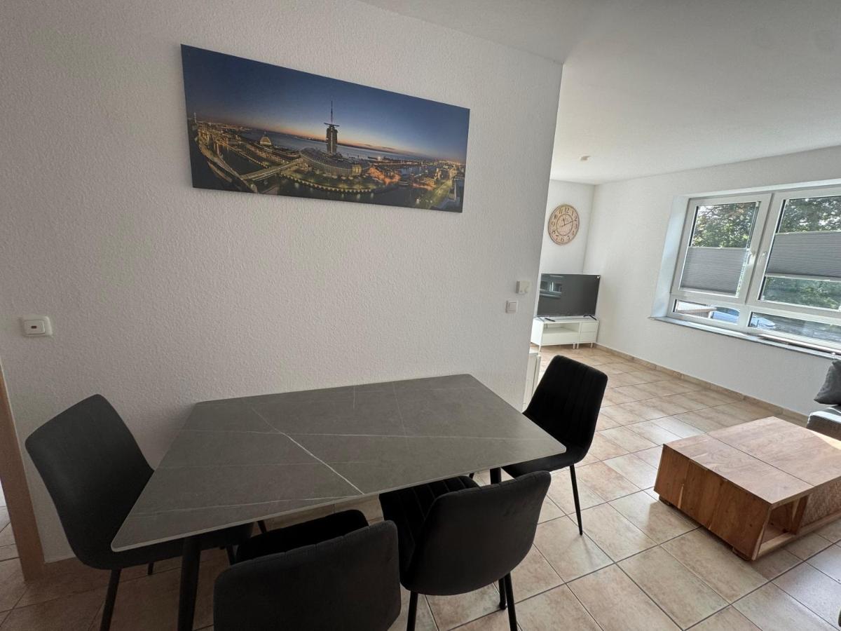 Seerobbe - B&B Bremerhaven