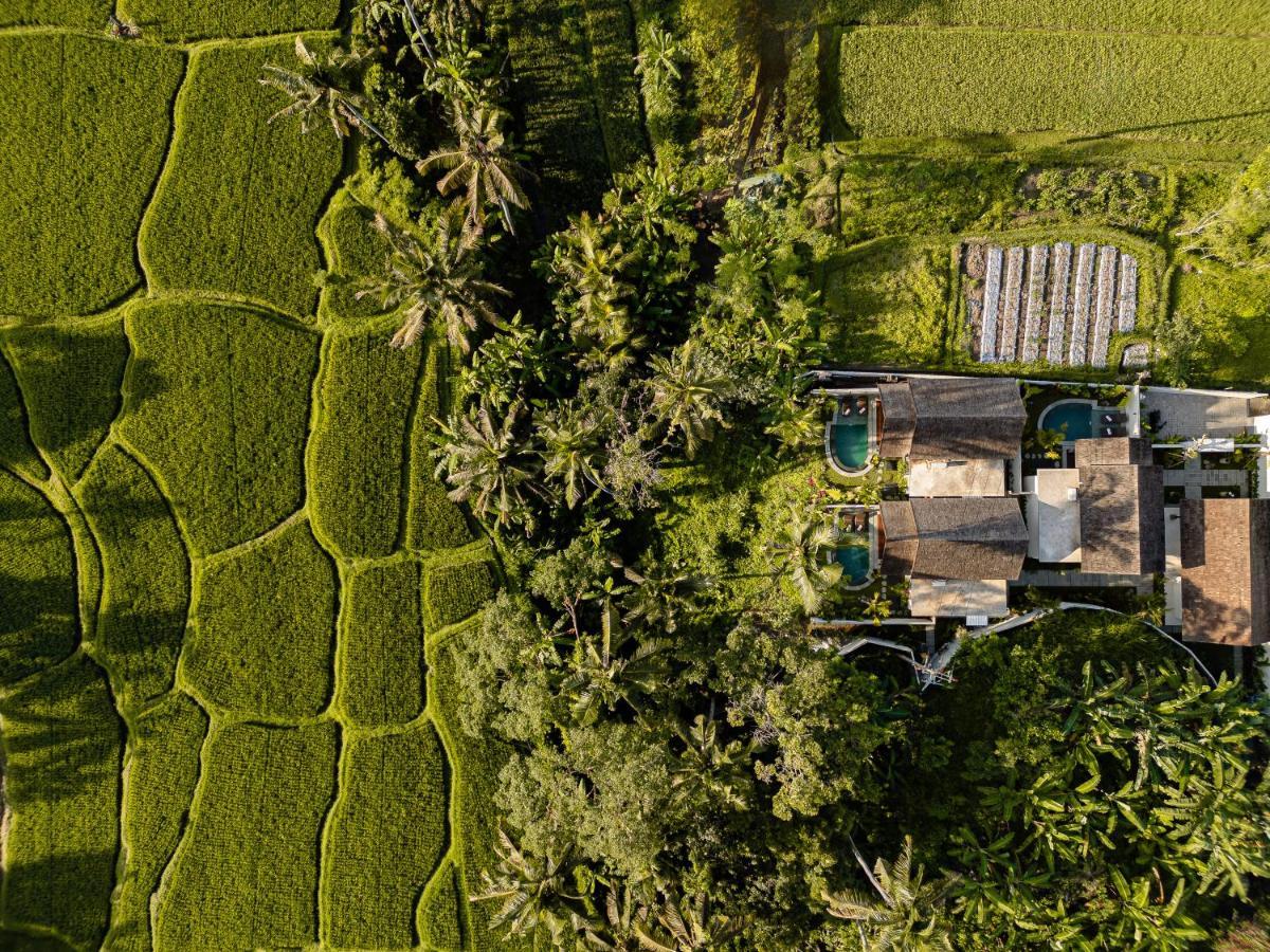 View Merta Ubud Villa - B&B Ubud
