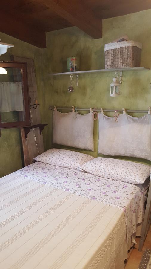 King Room with Garden View