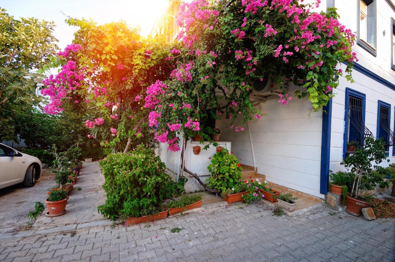 Apartment mit Gartenblick