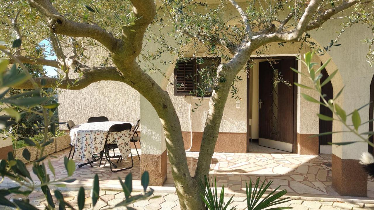 One-Bedroom Apartment with Terrace (4 Adults)