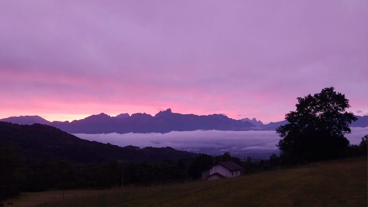 la tana della gallina - Bed and Breakfast Tortal