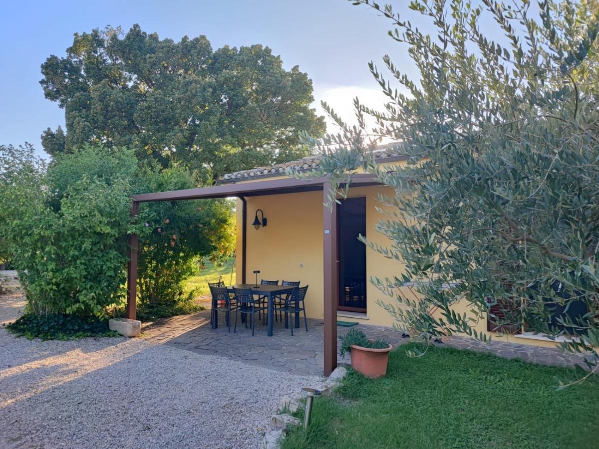Casa Vacanze "Dimora Quercia" - Villino "Quercia" - Bed and Breakfast Montefalco