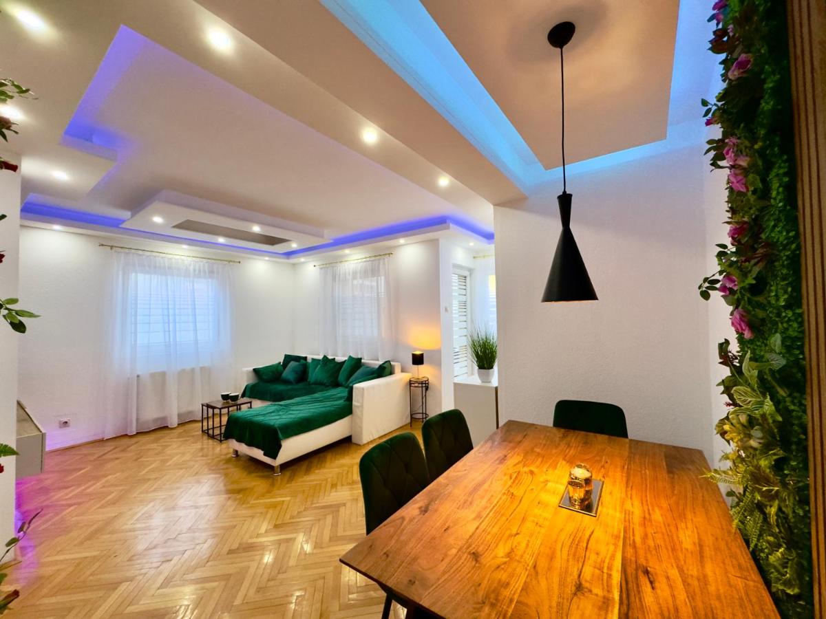 Appartement 1 Chambre