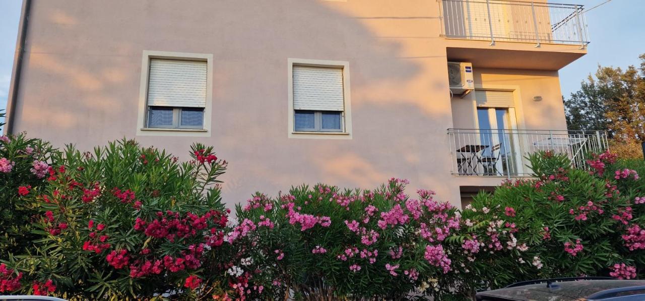 House Orilia in the green and by the sea - Chambres d'hôtes Marina di Pisa