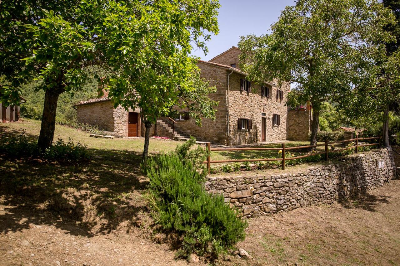Borgo Al Teto La Vite - B&B Castiglion Fiorentino