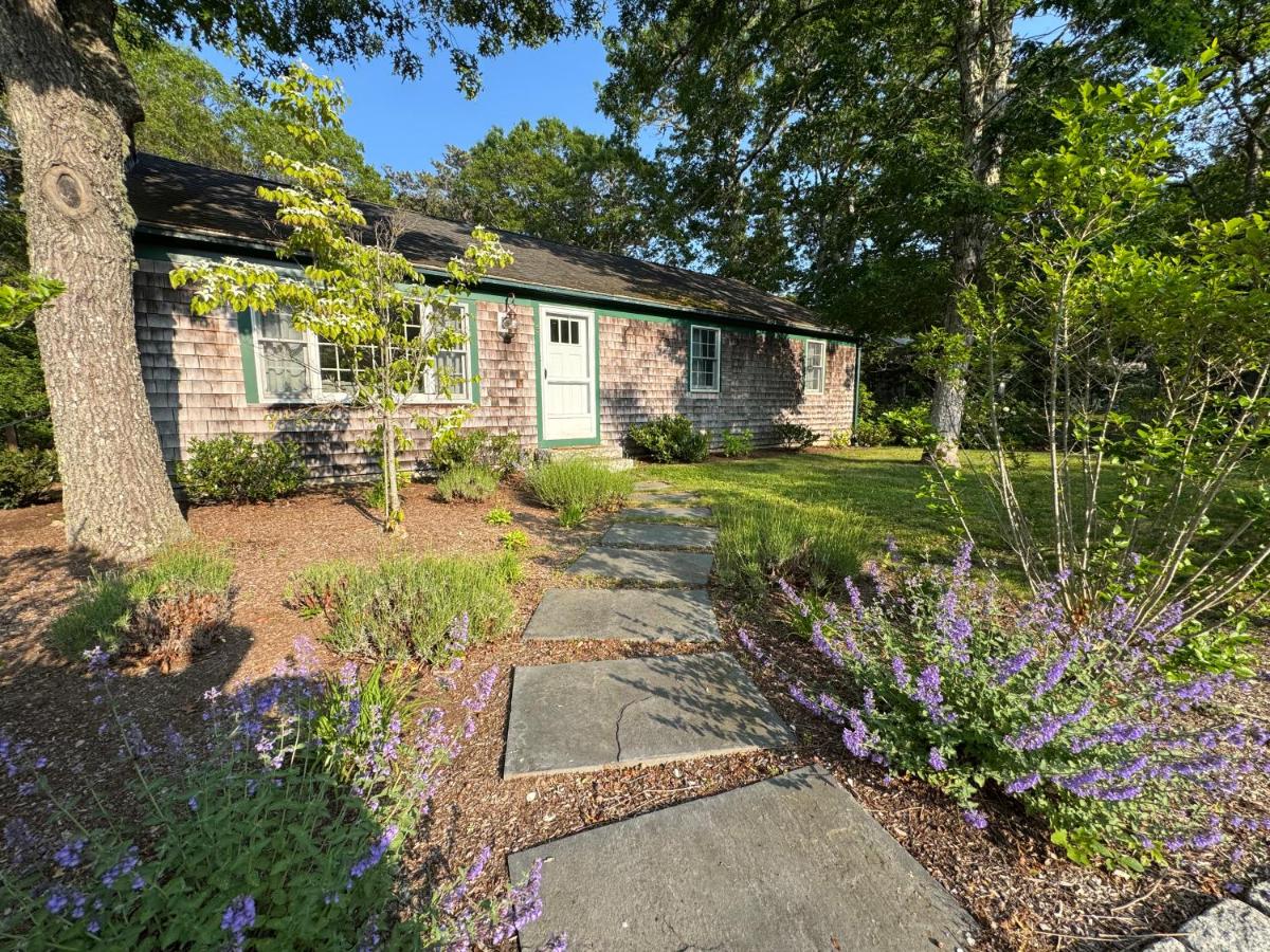 The Brewster Pearl - B&B Brewster