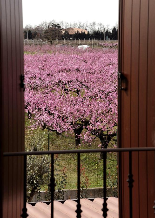 Double or Twin Room with Private Bathroom