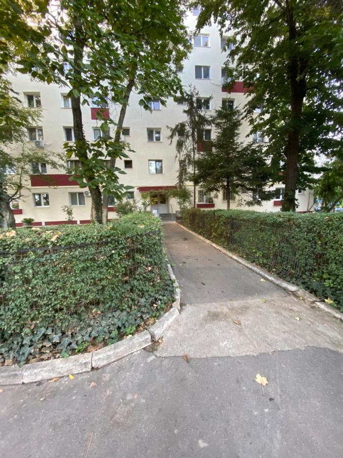 Full Kitchen AC CityView Free Public Parking 2 Bedroom Apartment - B&B Bucarest