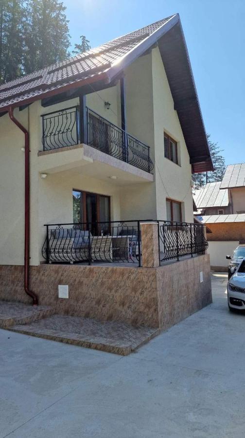 Vila Cantacuzino - B&B Buşteni