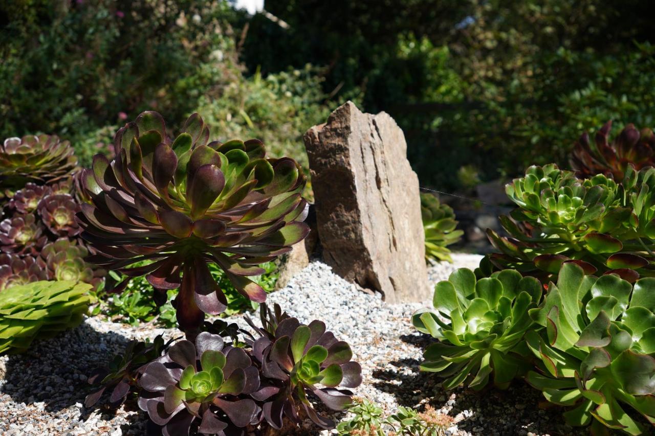 Penquite Holiday Accommodation - B&B Uny Lelant