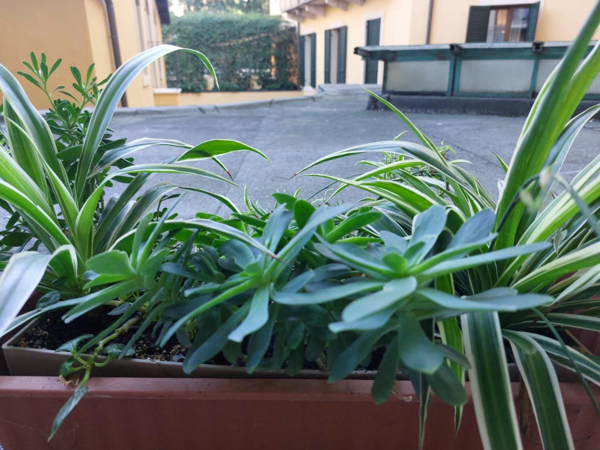 Monica's Dream Apartment - B&B Verona