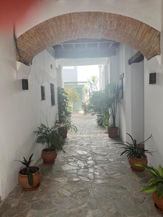 Verde Oliva loft - B&B Vejer de la Frontera