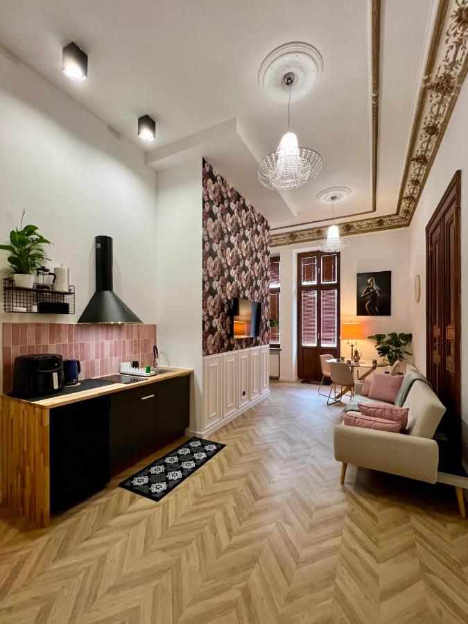 The Apartments 82 Piotrkowska No2 - B&B Lodz