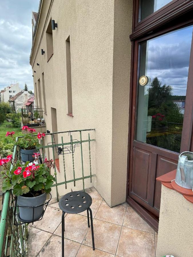 Dodo Acomodo 9 - B&B Krakow