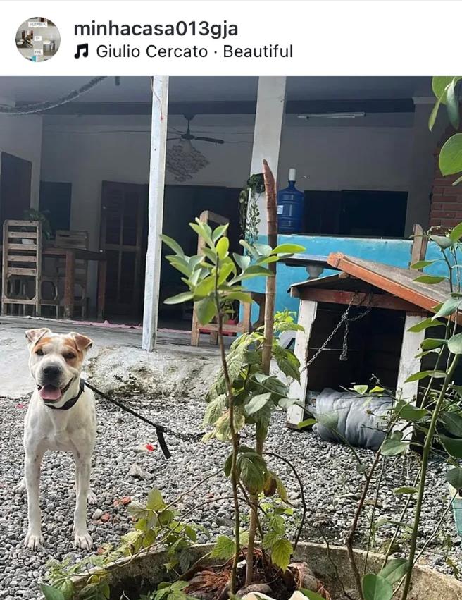 Casinha da Lolla - B&B Guarujá