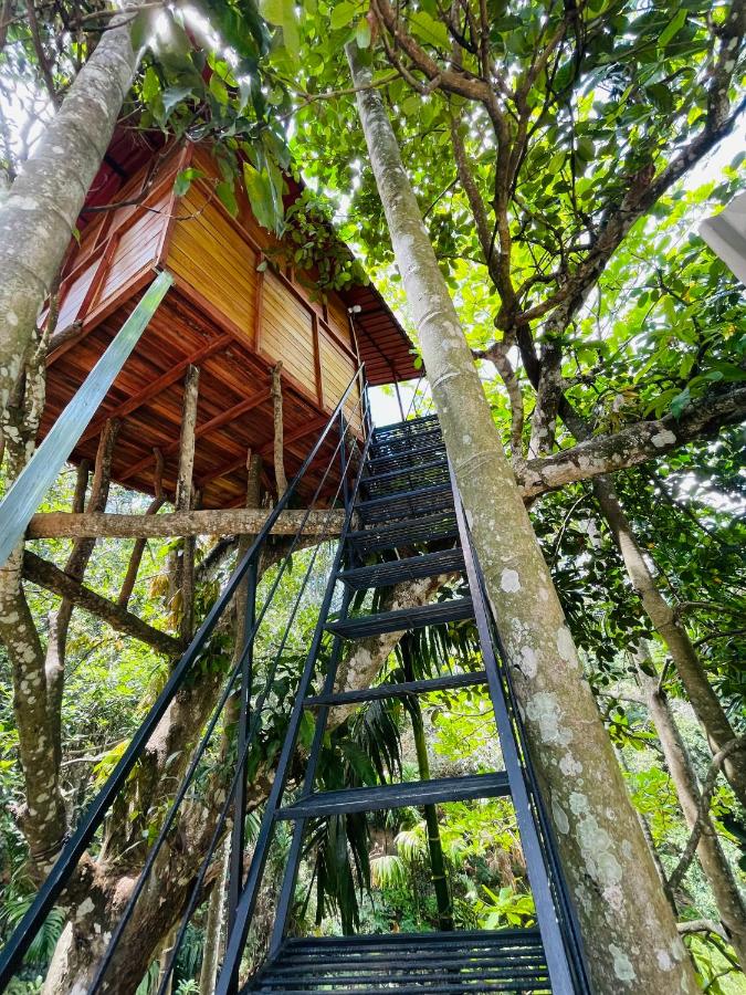 Wonder Tree Lodge - B&B Ella Town