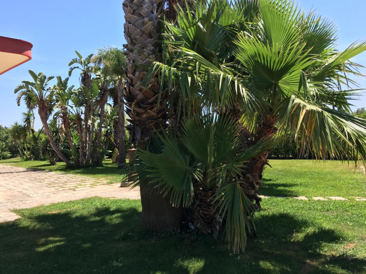 Masseria Patese - Chambres d’hôtes Acquarica del Capo