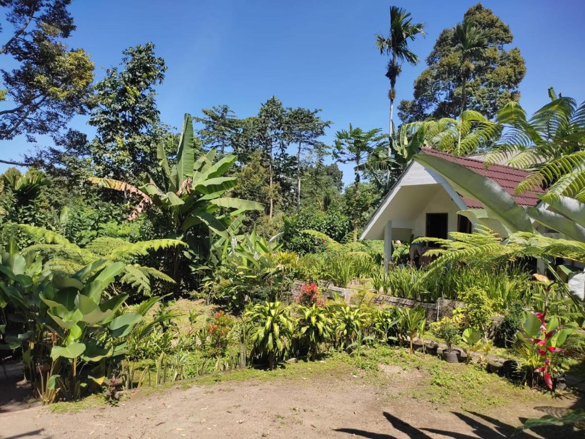 Stokel Cottage - B&B Praya