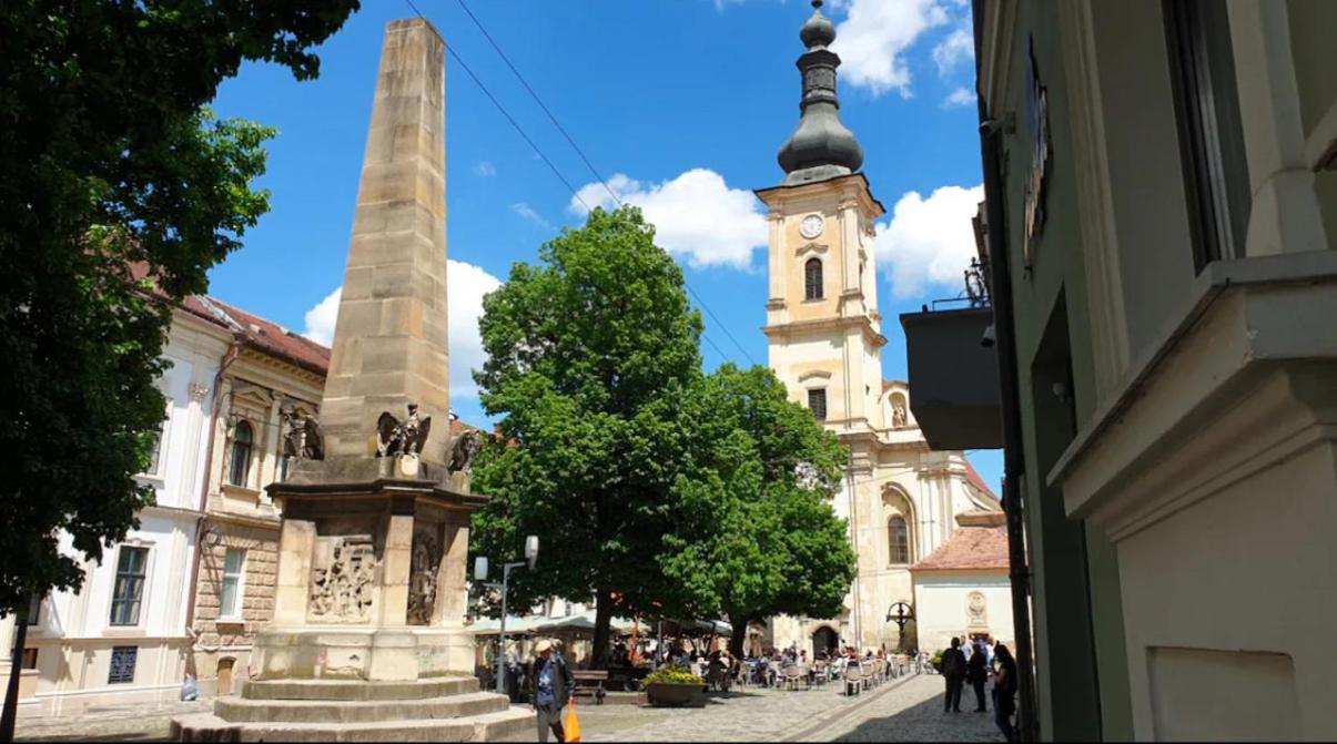 Ultra-Central Cozy Studio, Steps from Everything - B&B Cluj-Napoca