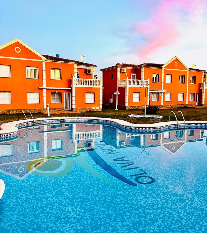 Oliva Nova Equestrian Apartment Next to MET Showground - B&B Oliva