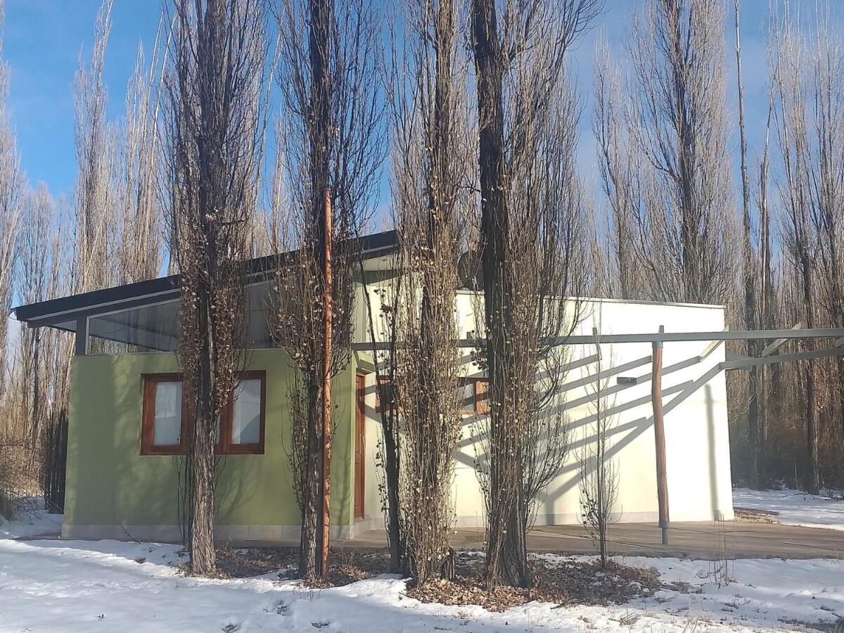 Casa Puentes Amarillos - B&B Malargüe