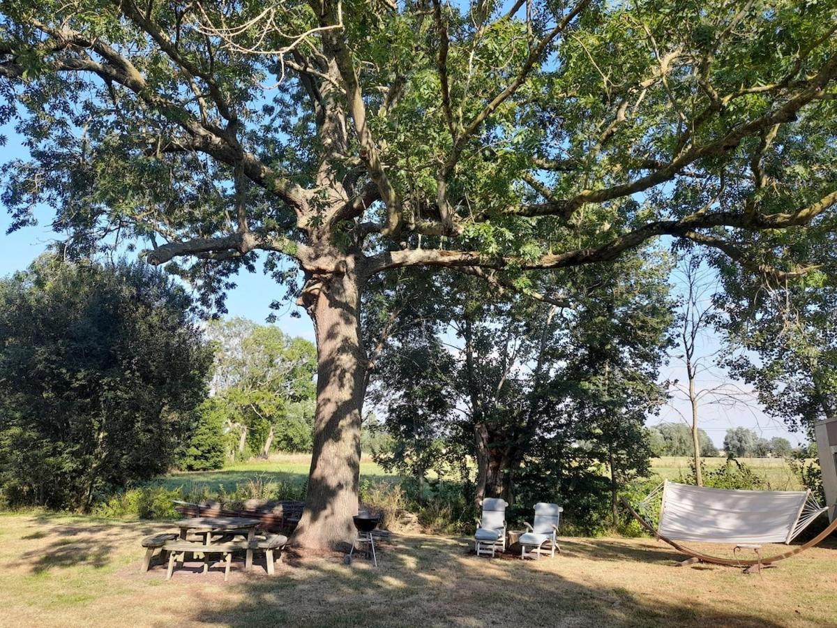 Marie Bonheur - Bed and Breakfast Celles