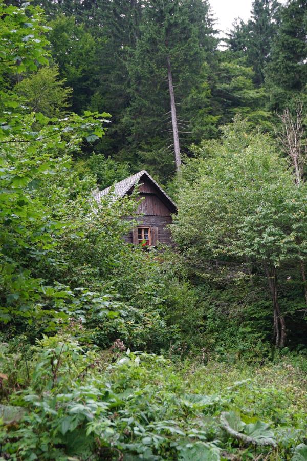 Almhütte Groß Frondell - B&B Kötschach