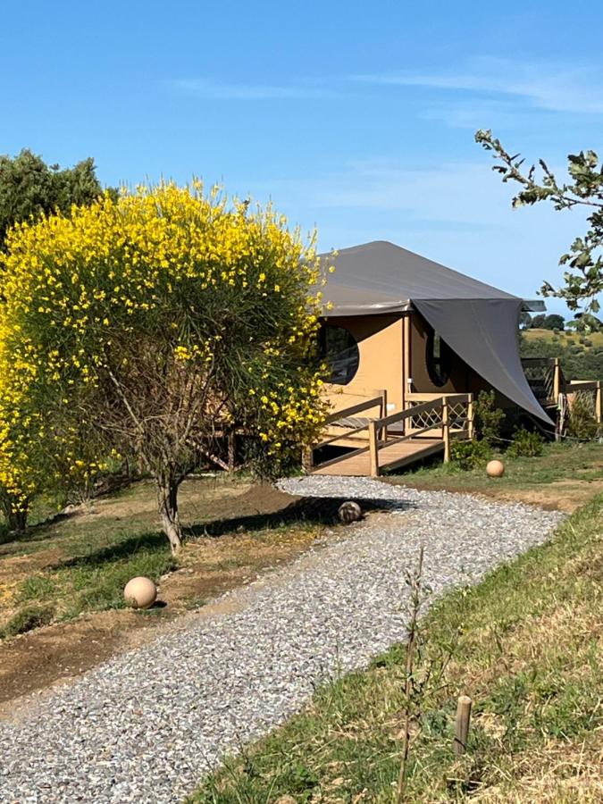 Glamping Il Giardino di San Giorgio "Aurora" - Bed and Breakfast Montorgiali