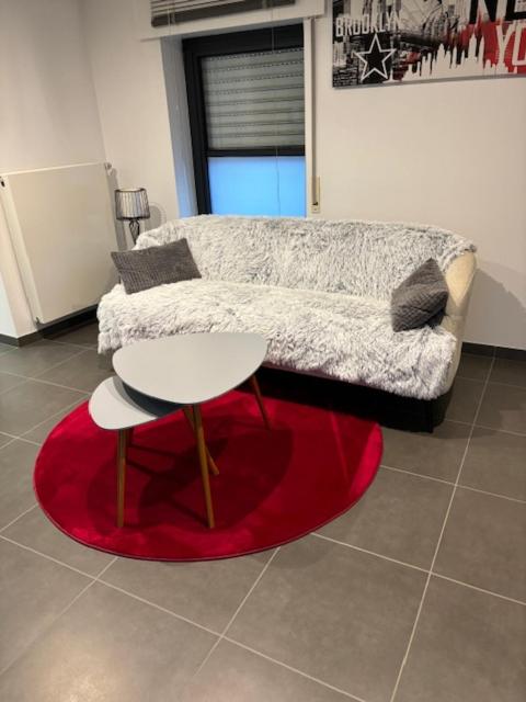 Appartement 1 Chambre