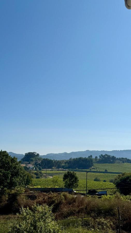 Horizonte da Vinha - Ferienwohnung Santo Tirso
