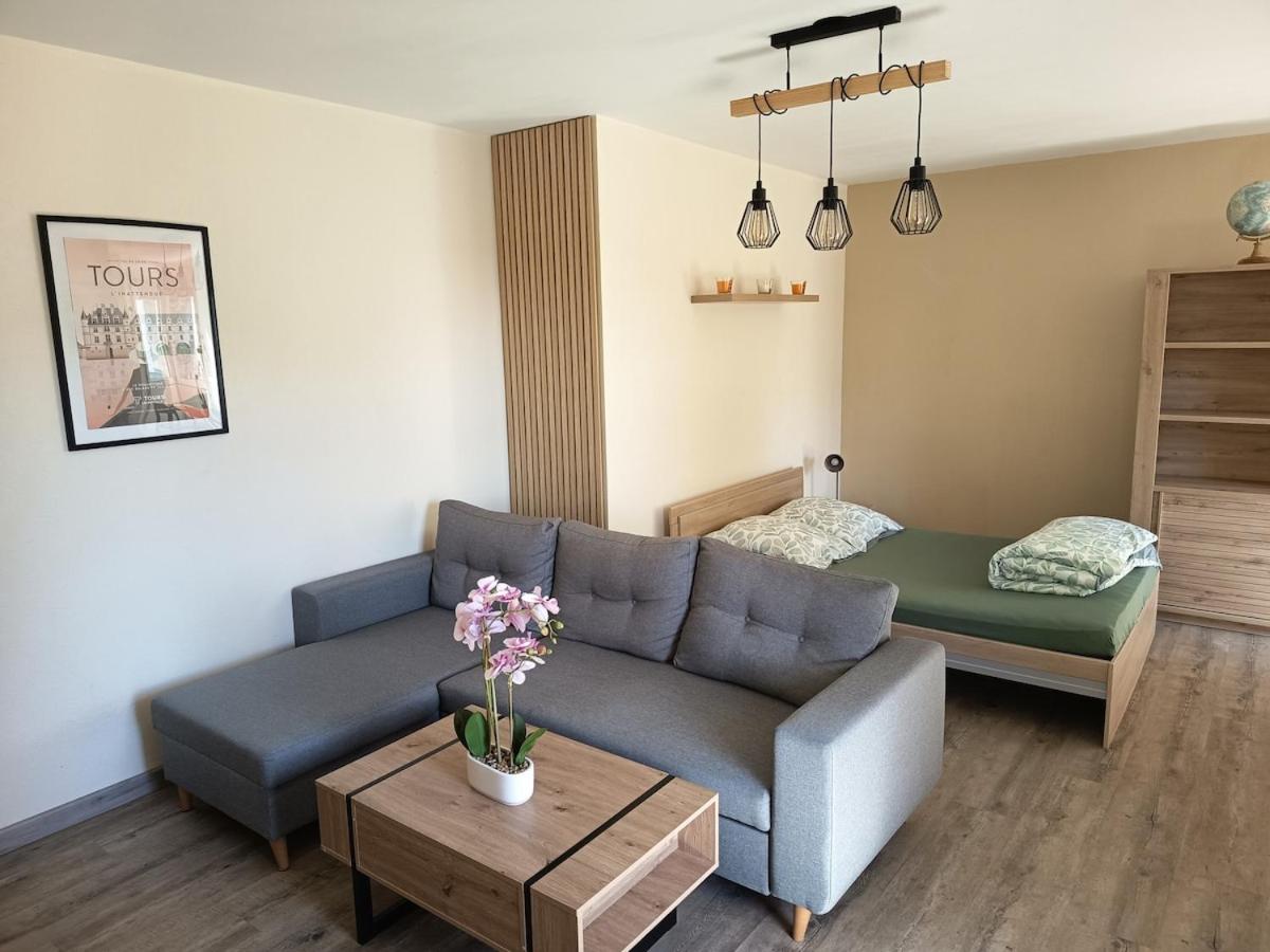 Grand appartement T2 cosy 4 personnes Proche Tours Centre - B&B Tours