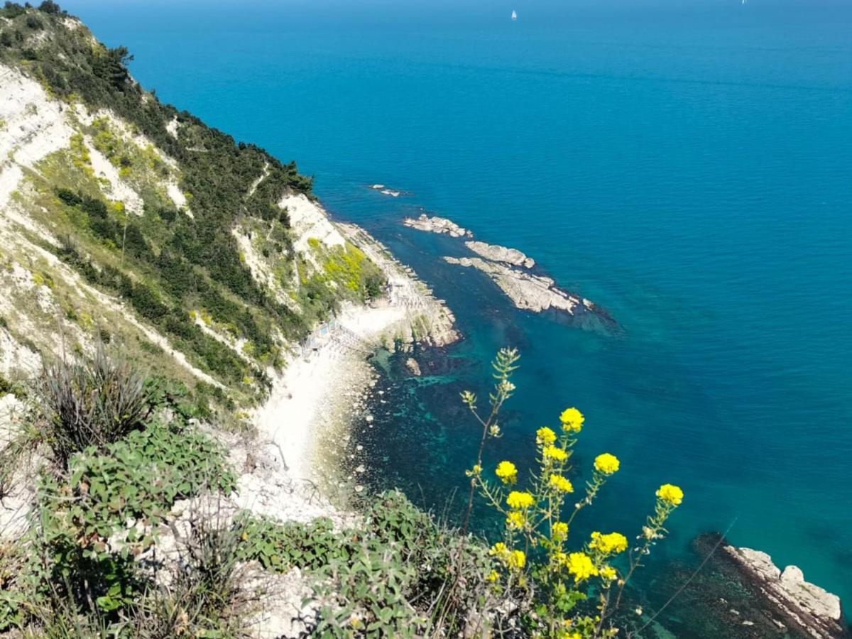 Nautilus - Ferienwohnung Ancona