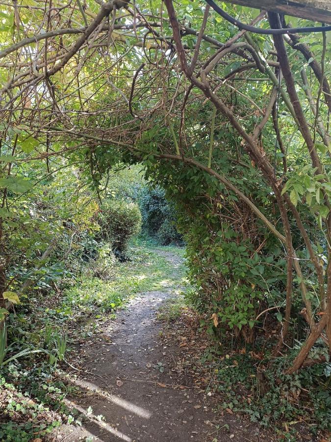 Boheme chic aux portes de Paris - B&B Deuil-la-Barre