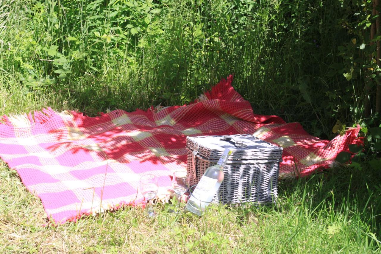 The Charcoal Hut woodland retreat - B&B Llandovery