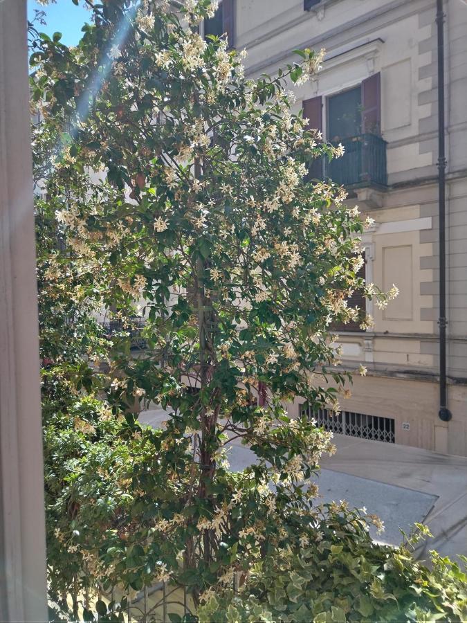 Le Melusine Appartamento Grazia - B&B Vercelli