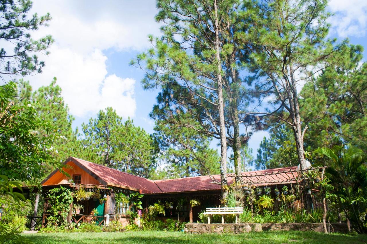 Villa Verde - Ferienwohnung