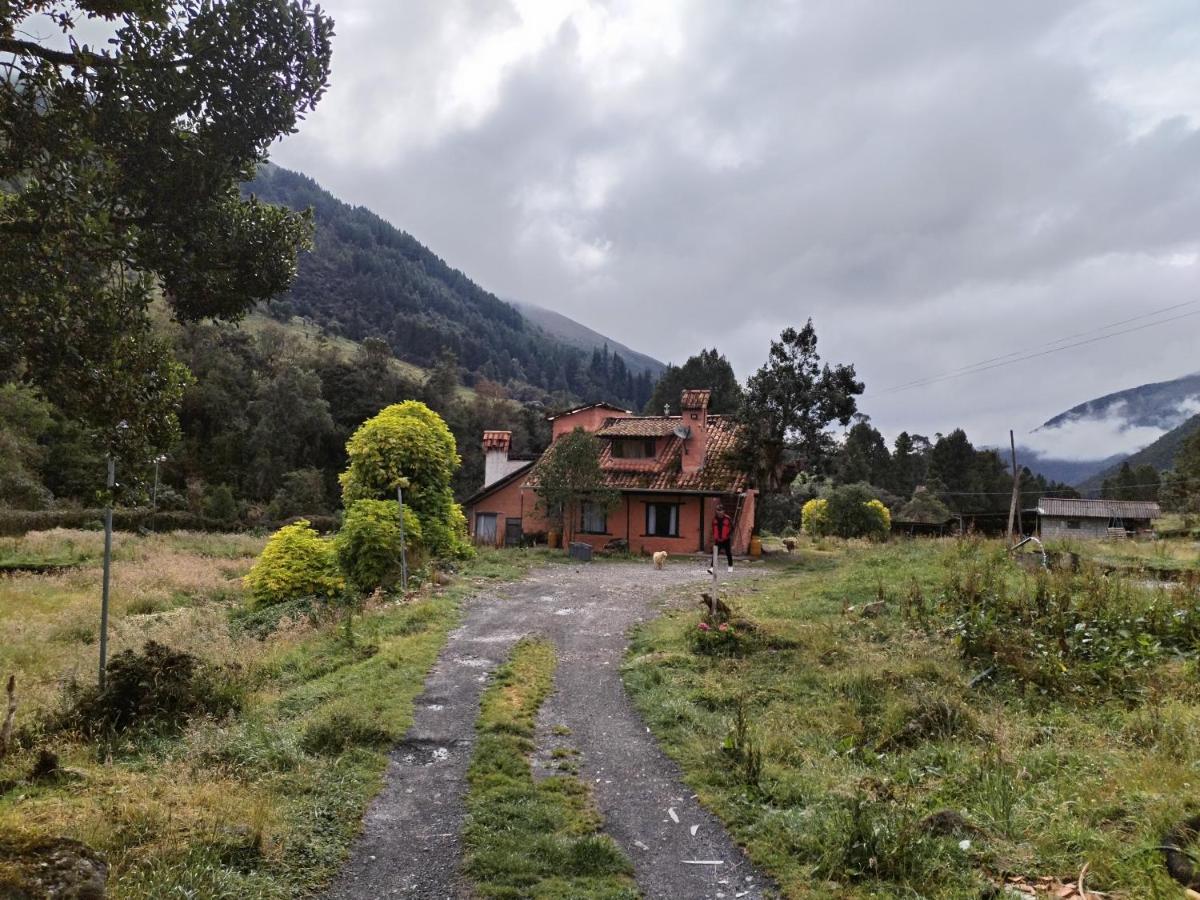Mixed Dormitory Room