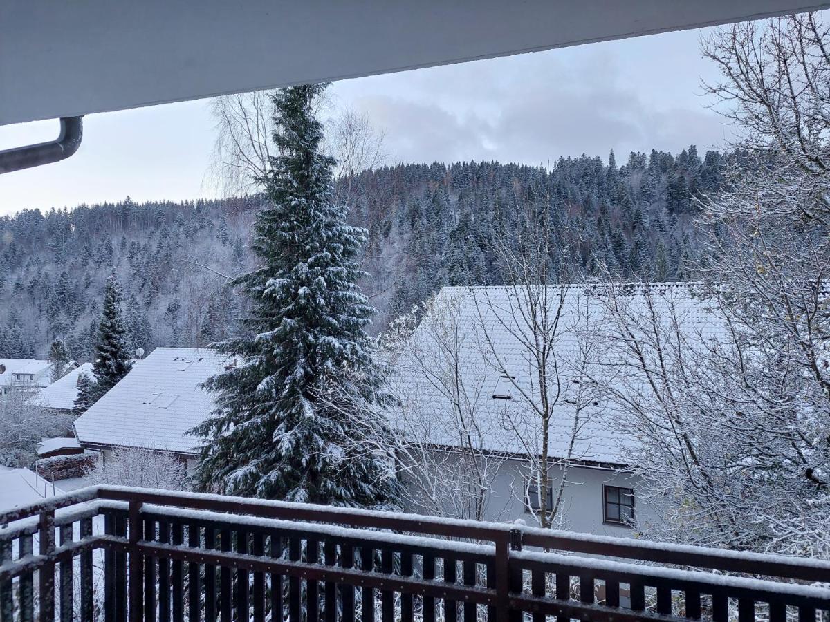 Aurora Verde - Ferienwohnung Todtmoos