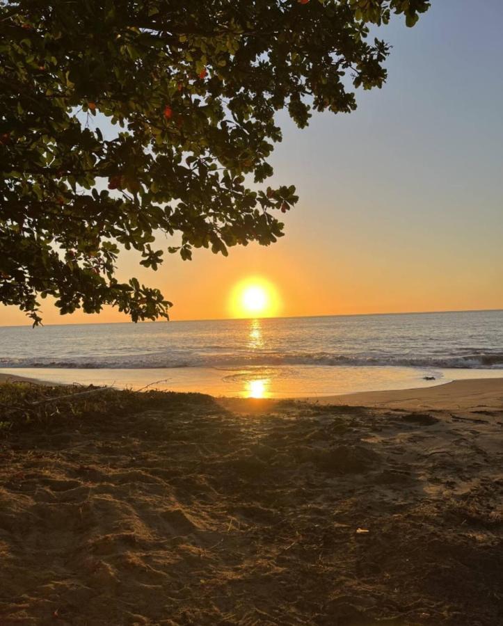 Oceanfront 5BR Oasis w Decks & Direct Beach Access - Chambres d'hôtes Mayaguez