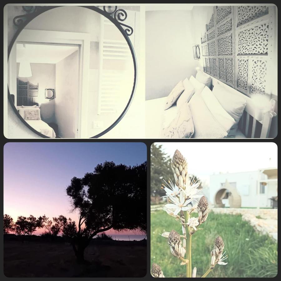 La Segreta Oasi relax room - Ferienwohnung Polignano a Mare