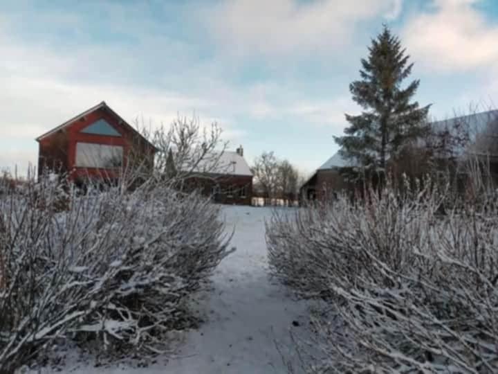Gîte du Bois la Dame - Chambres d’hôtes La Flamengrie