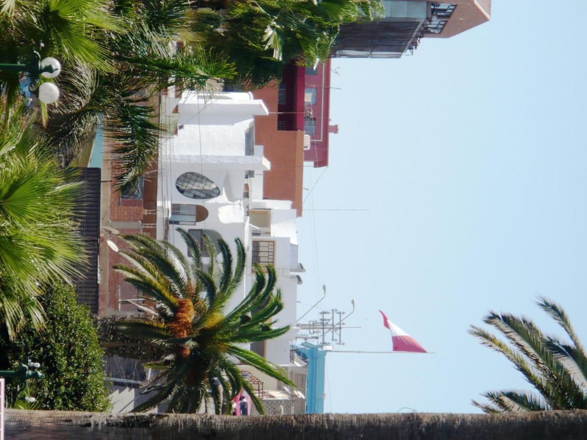 Apartamento Terra Amata Arica - B&B