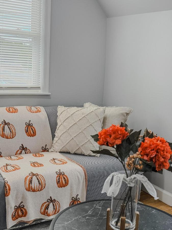 LunaVista's Cozy Corner, 1B&1Bth - B&B Hempstead